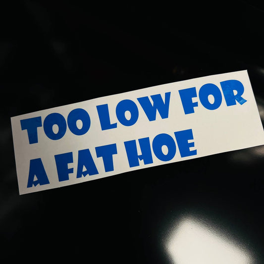 "TOO LOW FOR A FAT HOE" Vinyl Sticker